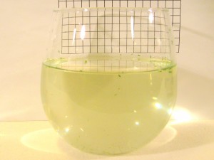 green tea in a bowl